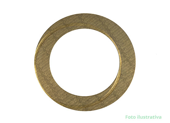 ARRUELA DE BRONZE